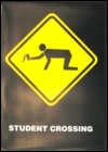Warning Sign   Poster   308
