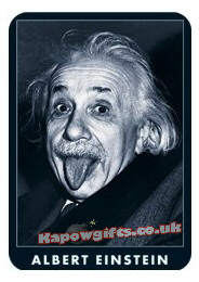 Albert Einstein sticker. Vinyl Sticker 