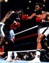 Muhammad Ali - Ali vs Joe Frazier Print - 13851- Cassius Clay