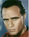 Marlon Brando photo print. 8x10inch glossy photo print