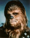 Star Wars photo. Chewbacca 8x10inch glossy photo