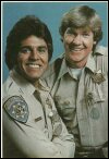 Chips postcard. 6x4 inch