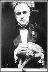The Godfather poster. Marlon Brando with cat Poster 