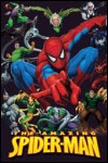 Spider-Man poster. 610 x 860 mm