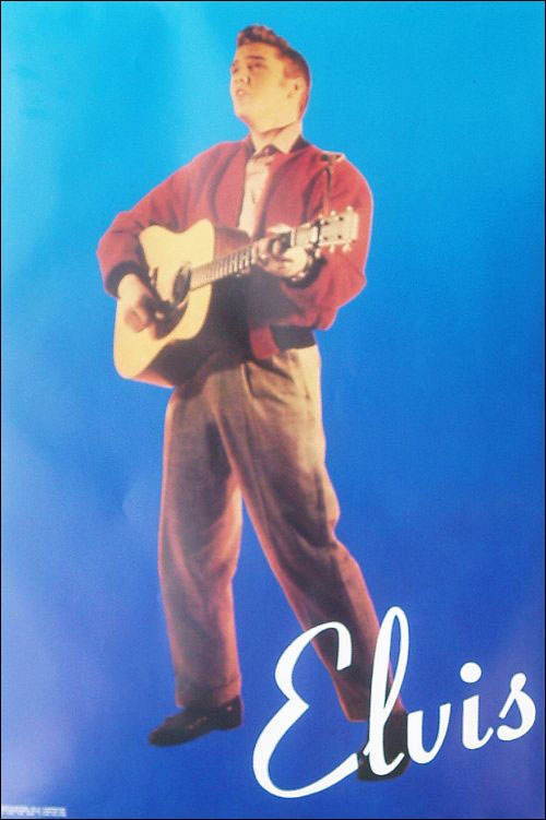 Elvis Presley Poster
