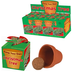 Grow Your own christmas tree   9738
