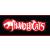 Thundercats Mug. Logo Mug - view 4