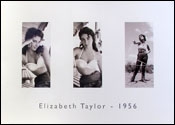 Elizabeth Taylor poster. 3 Poses Fine Art Print 70 x 50 cm