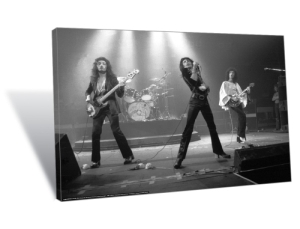 Queen Canvas Art. canvas print