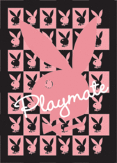Playboy poster. 3D Lenticular 18.7 x 26.8 Inches