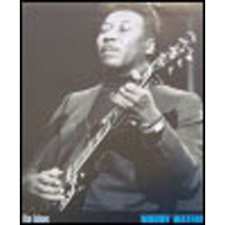 Muddy Waters Poster 