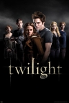 Twilight Group Maxi Poster