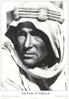 Lawrence of Arabia - Peter O'Toole Poster