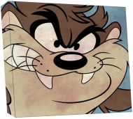 Taz Canvas Art. 30 x 30cm Art Print