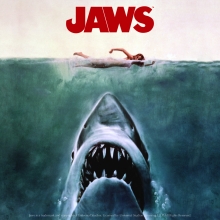 Jaws coaster. 