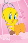 Tweety and Sylvester poster. Pink Maxi Poster 