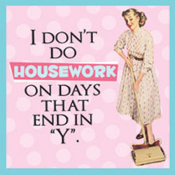 Coasters - I Dont Do Housework