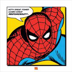 Spider-man print. With Great Power Art Print