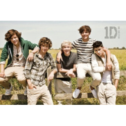 One Direction Poster - Summer