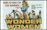 Wonder Women  postcard. kung fu girls 